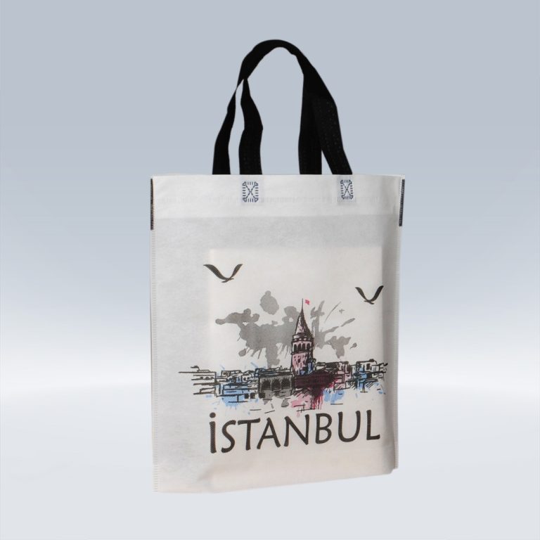 Saplı İstanbul Çanta